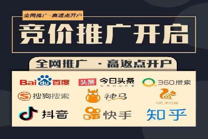 某某sem推广公司在某行业的应用与效果分析