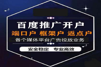 某某SEM公司：一则关于搜索引擎营销的经典成功案例
